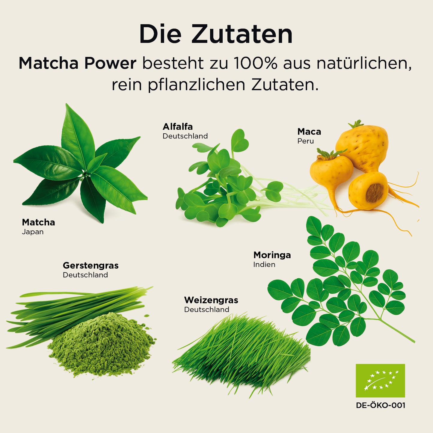 Matcha Power