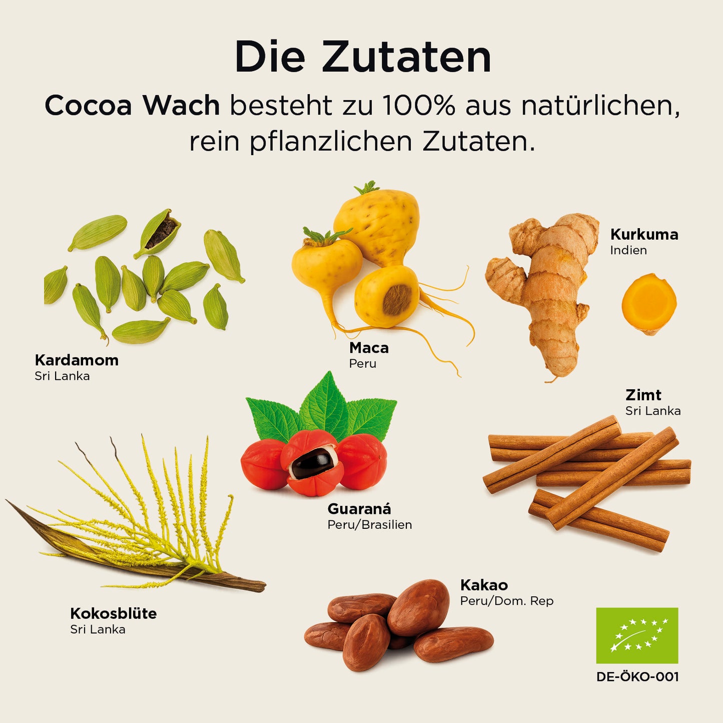 Cocoa Wach Zimt-Kurkuma