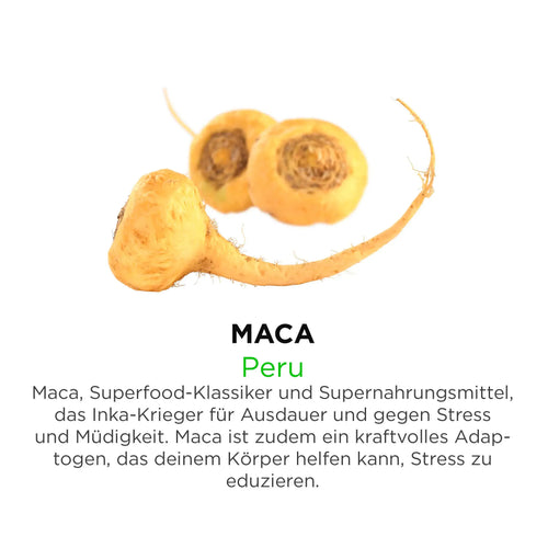 Maca aus Peru