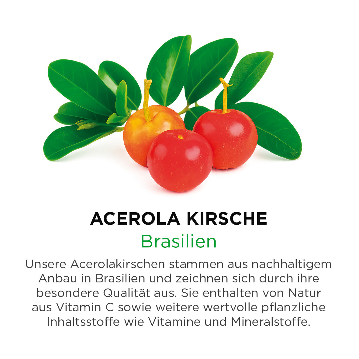 Acerola