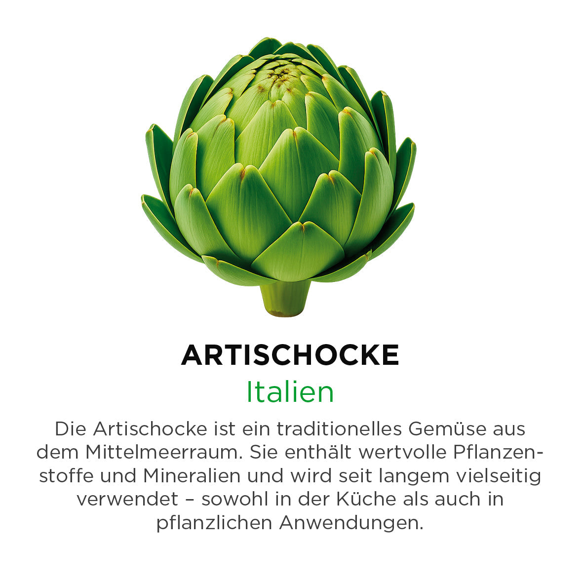 Artischocke
