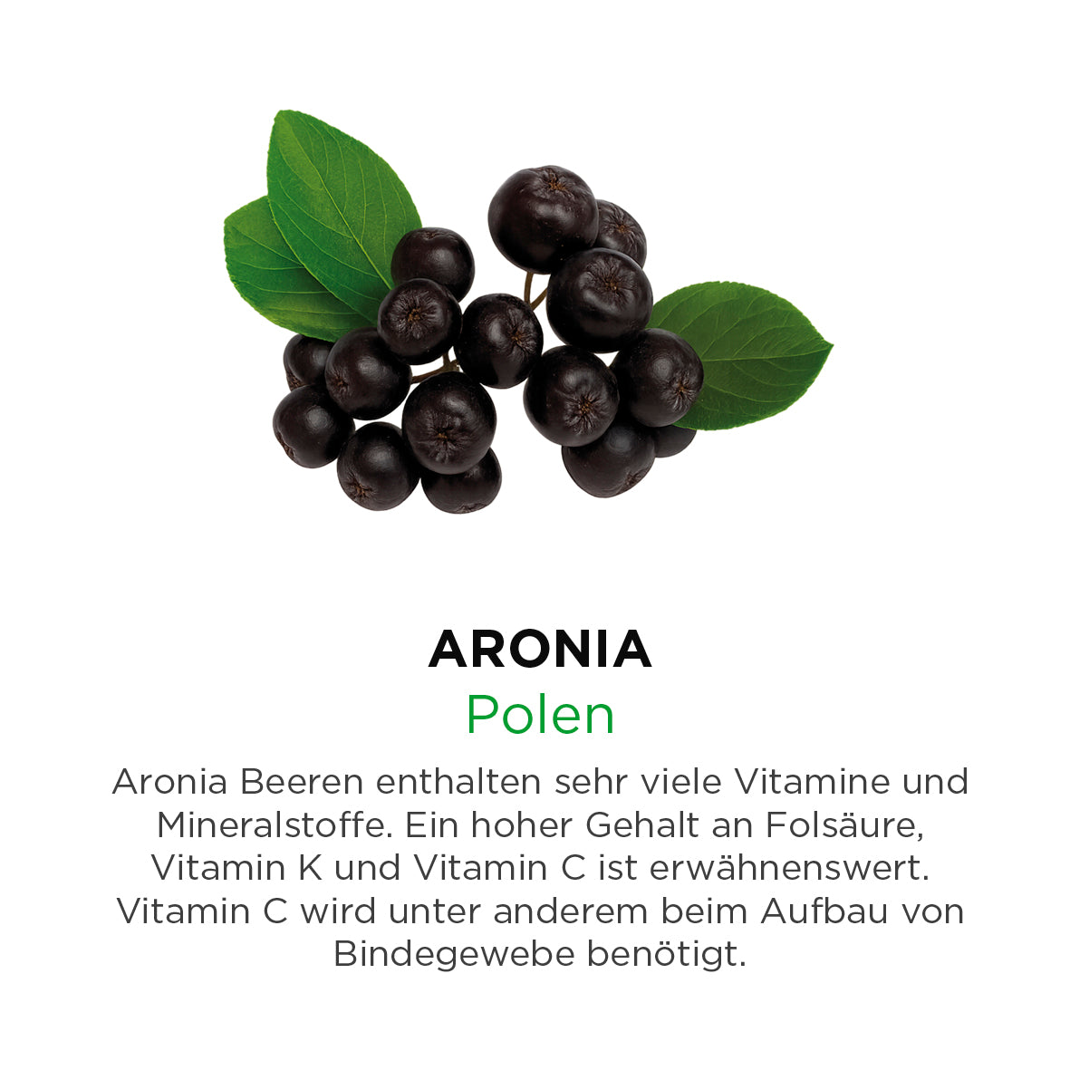 Aronia