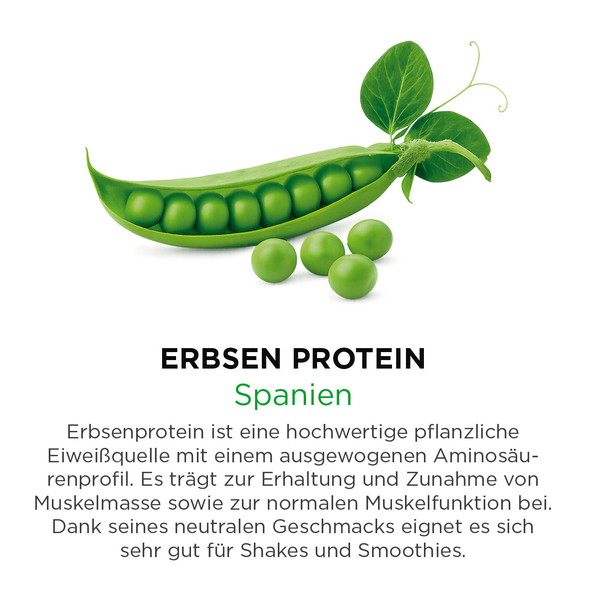 Erbsen Protein