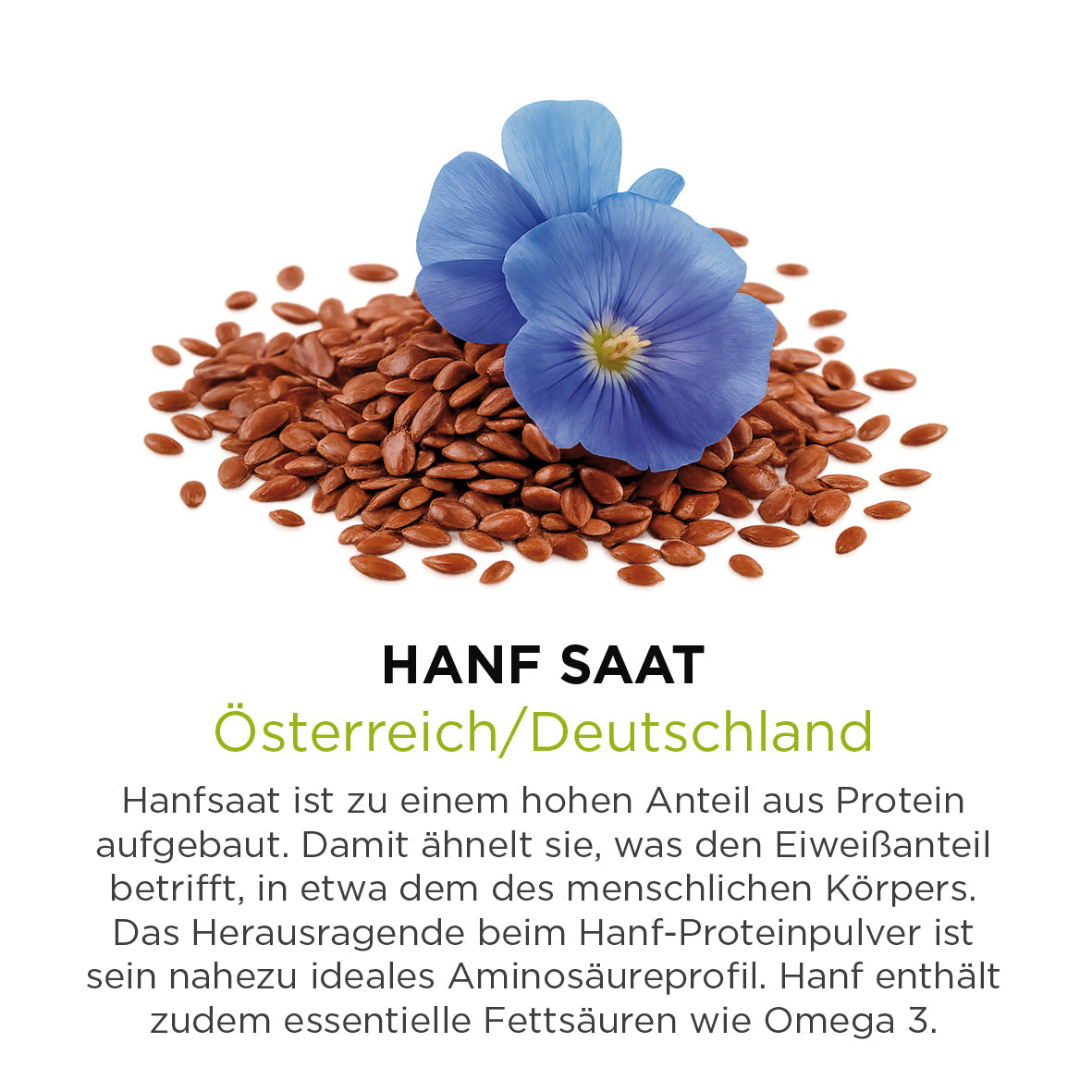 Hanf Saat