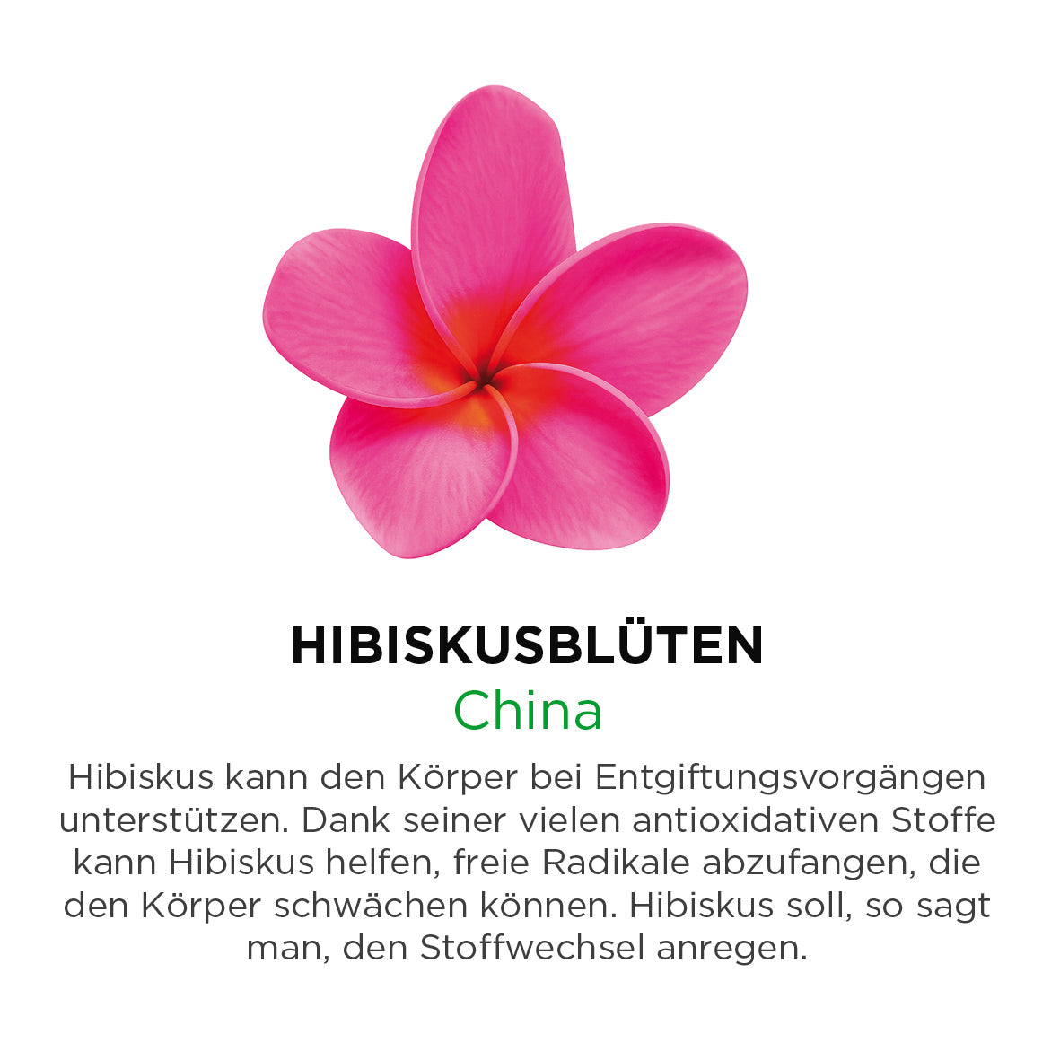 Hibiskusblüten