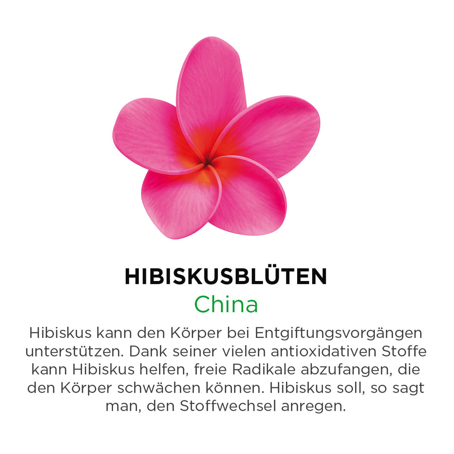 Hibiskusblüten