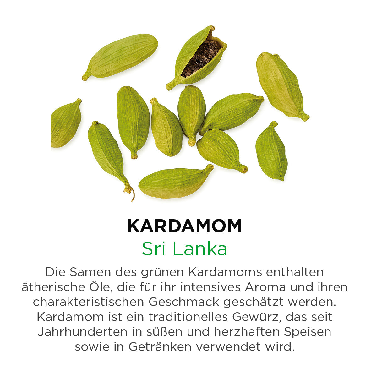 Kardamom
