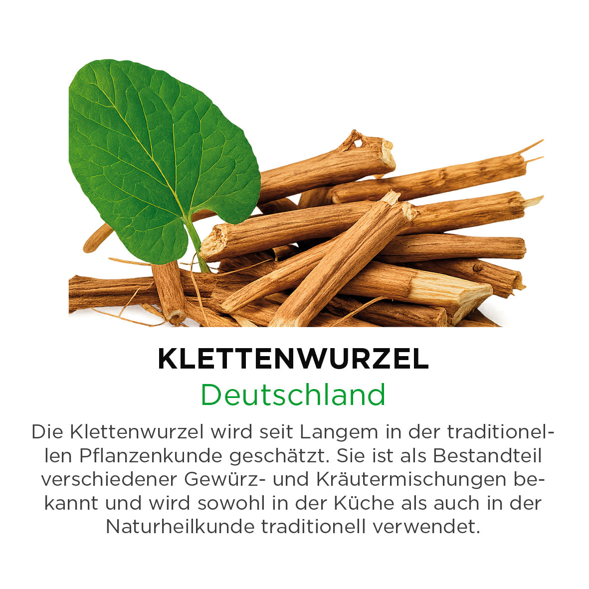 Klettenwurzel