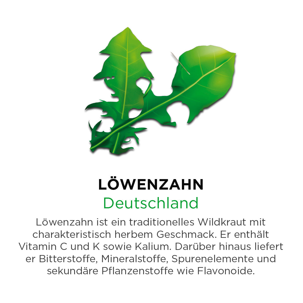 Löwenzahn