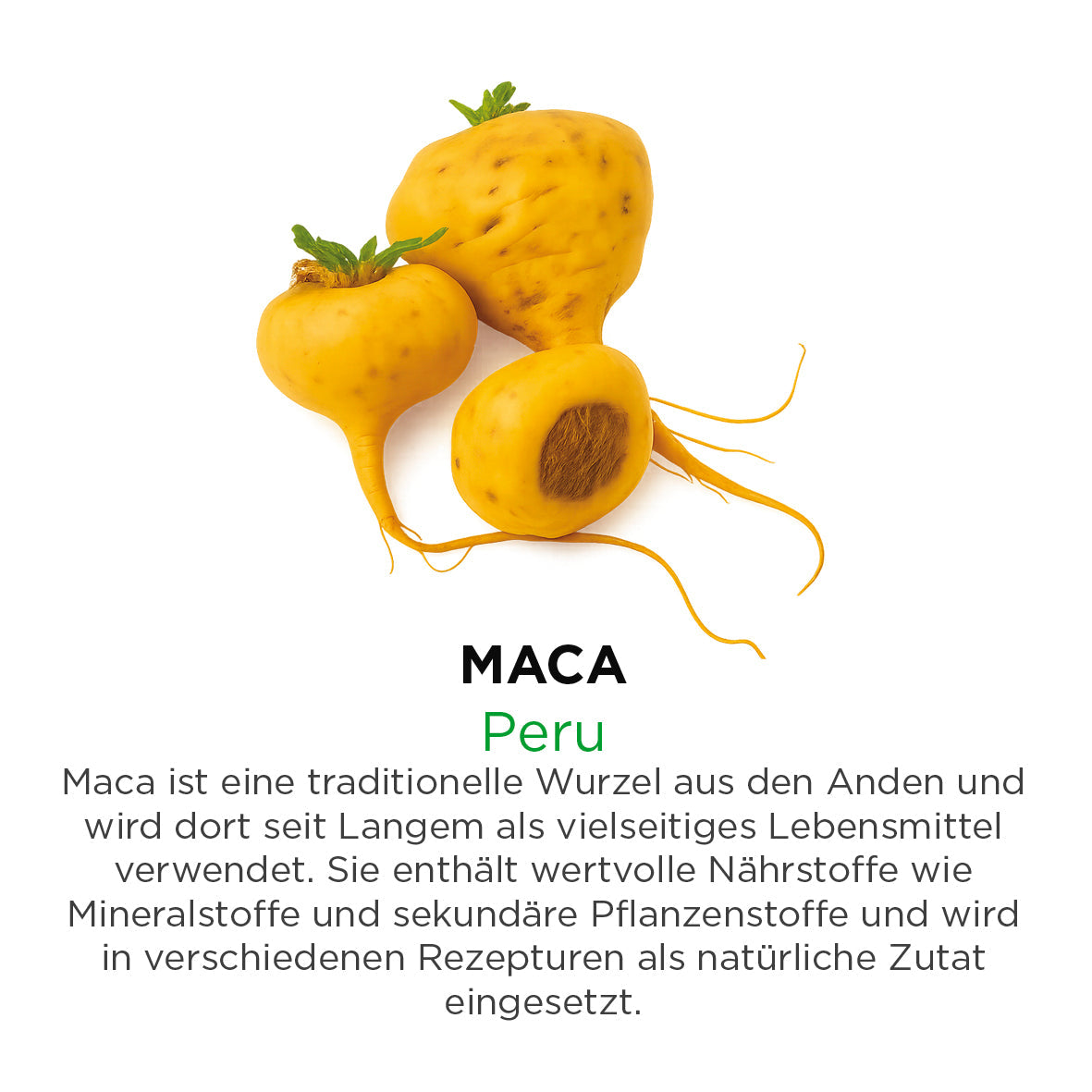 Maca