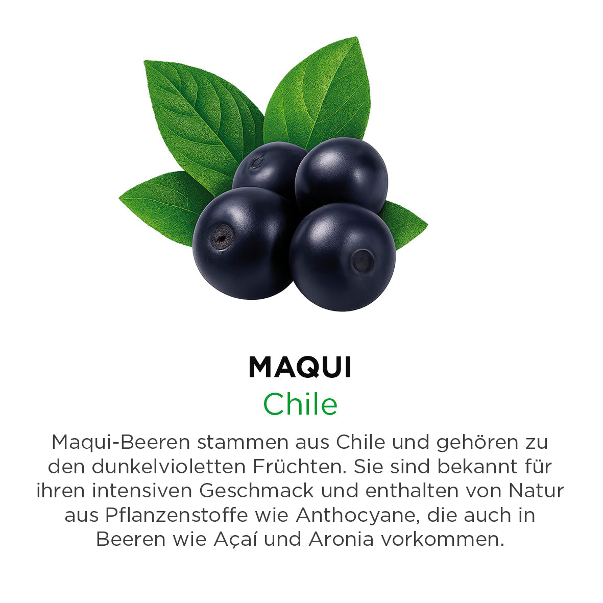 Maqui