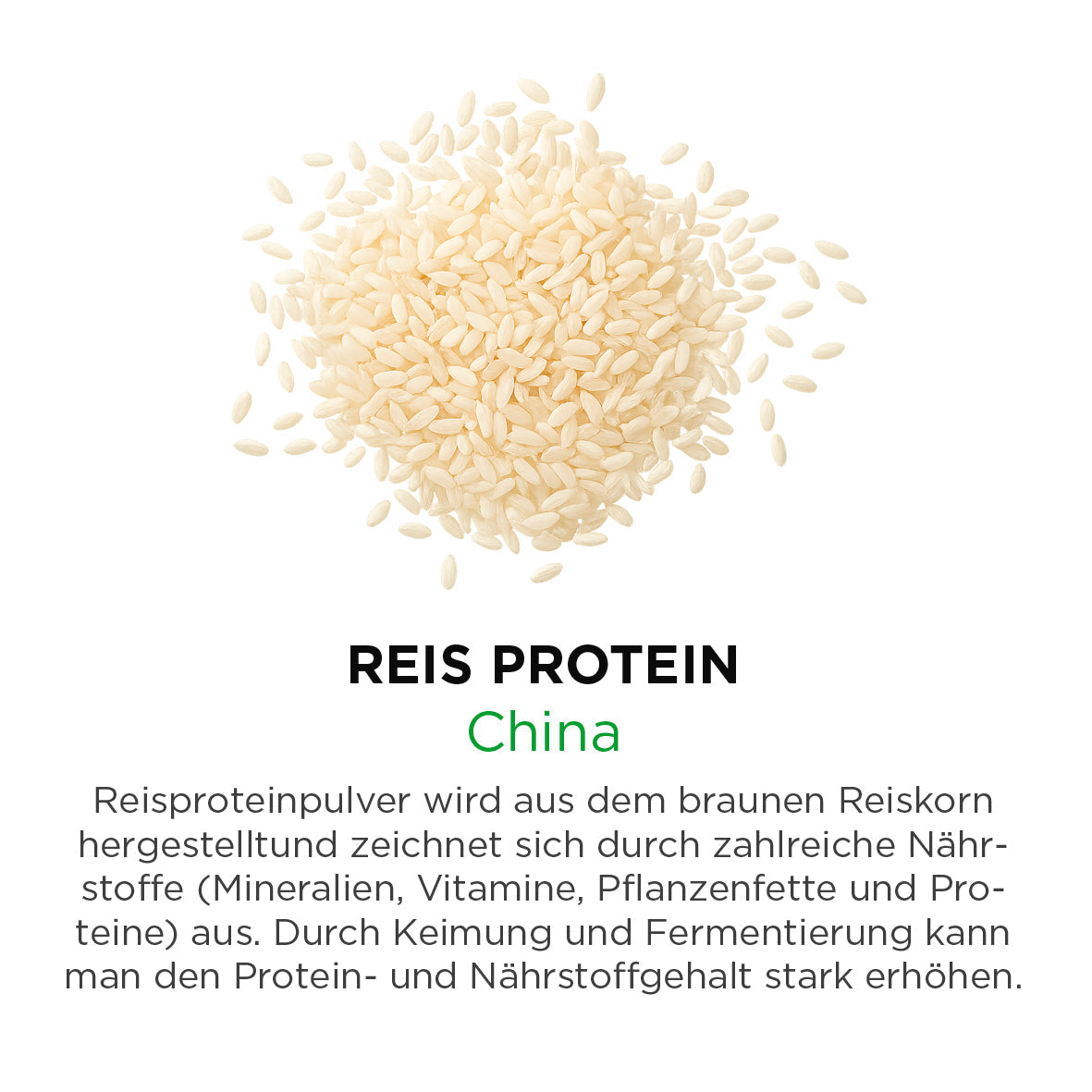 Reis Protein