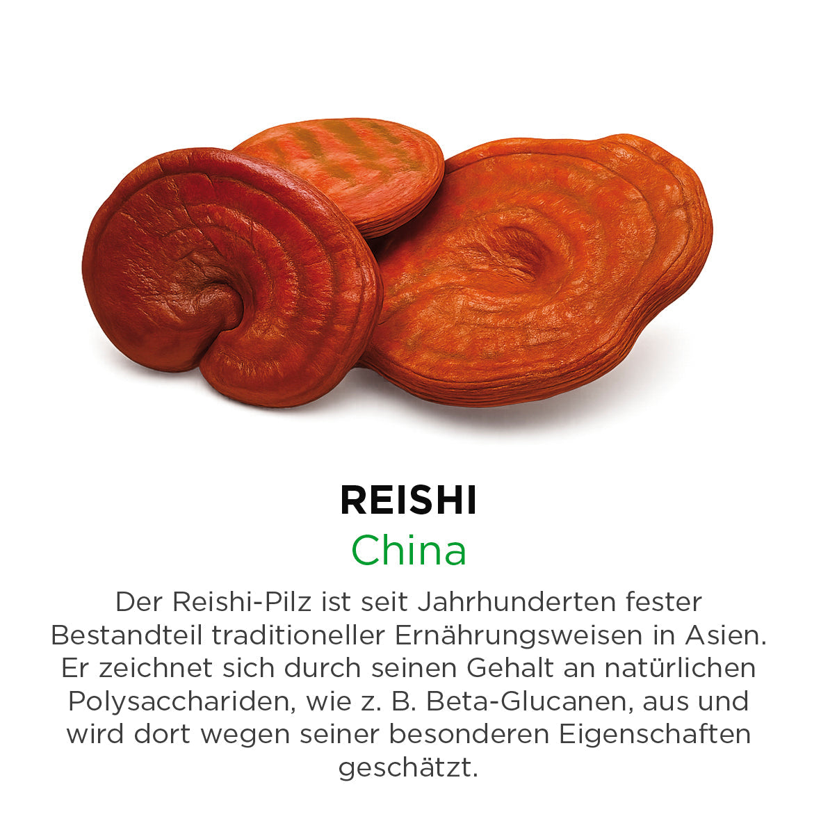 Reishi