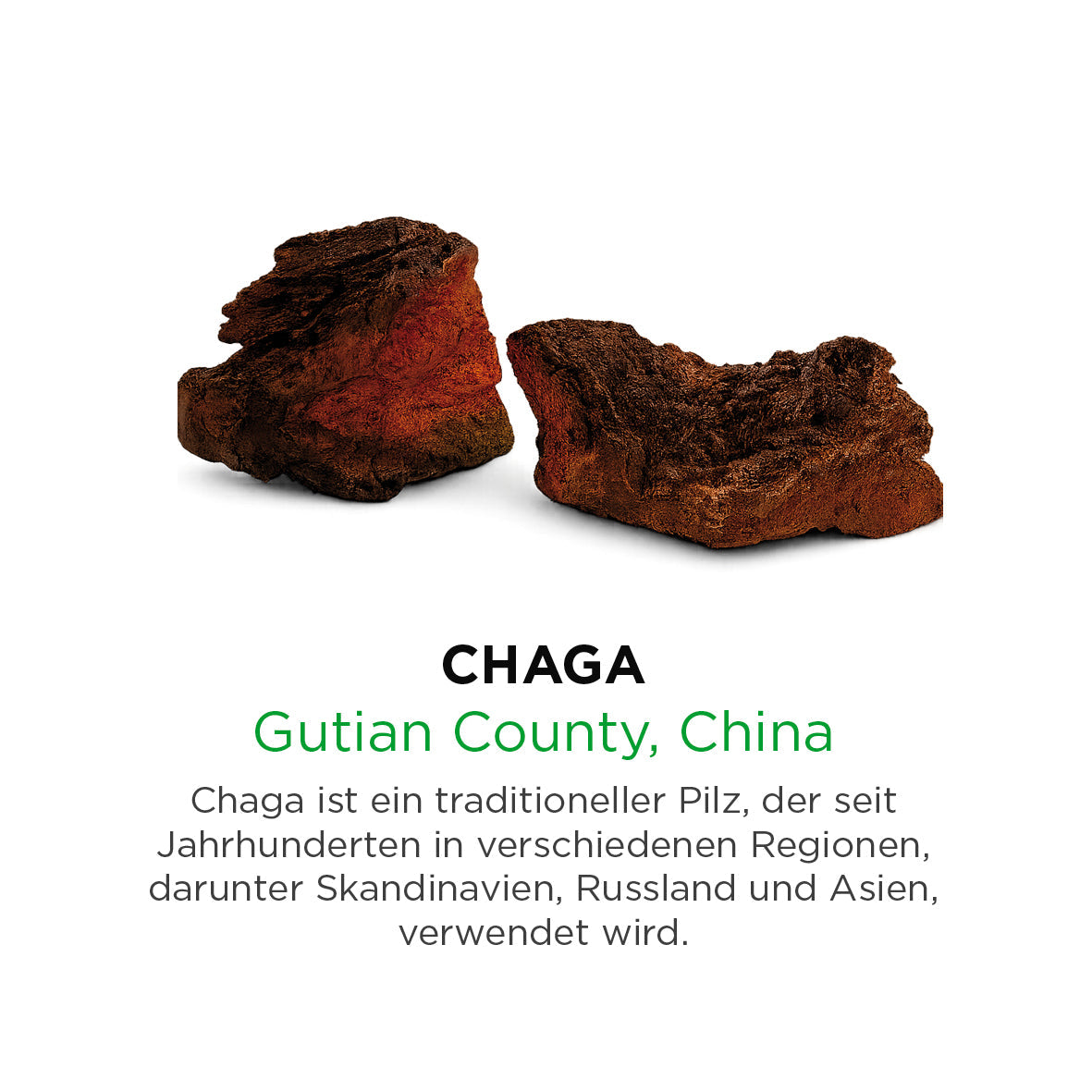 Chaga
