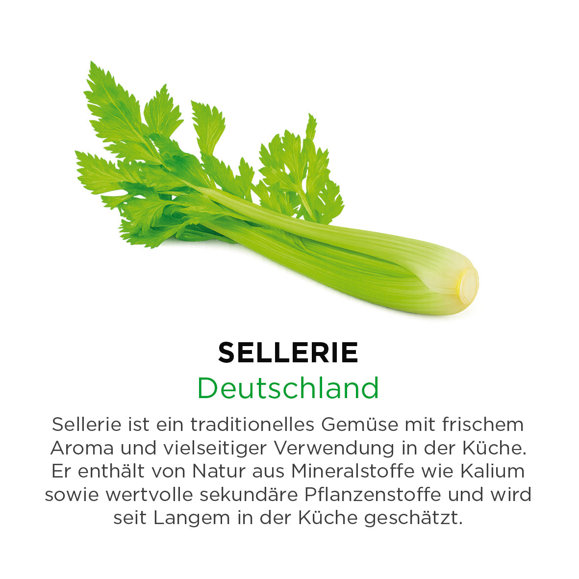 Sellerie