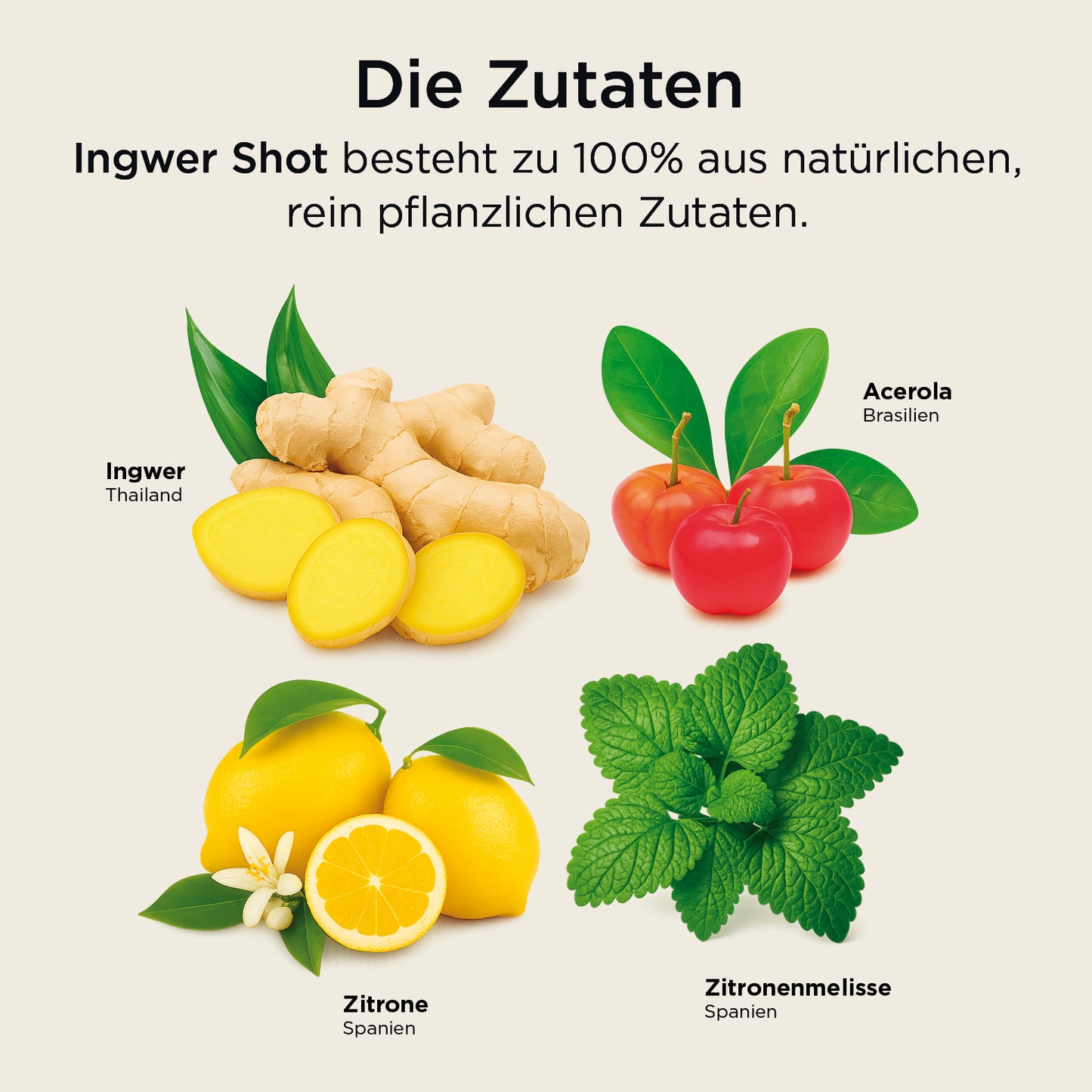 Ingwer Shot