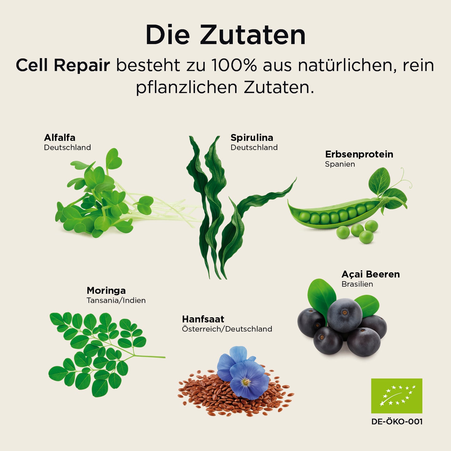 Cell Repair