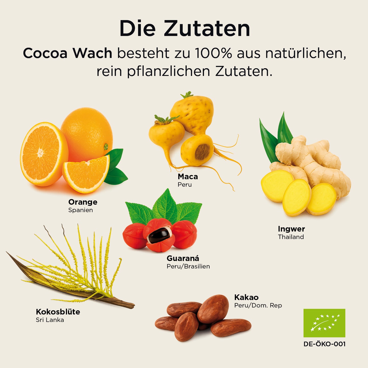 Cocoa Wach Orange-Ingwer