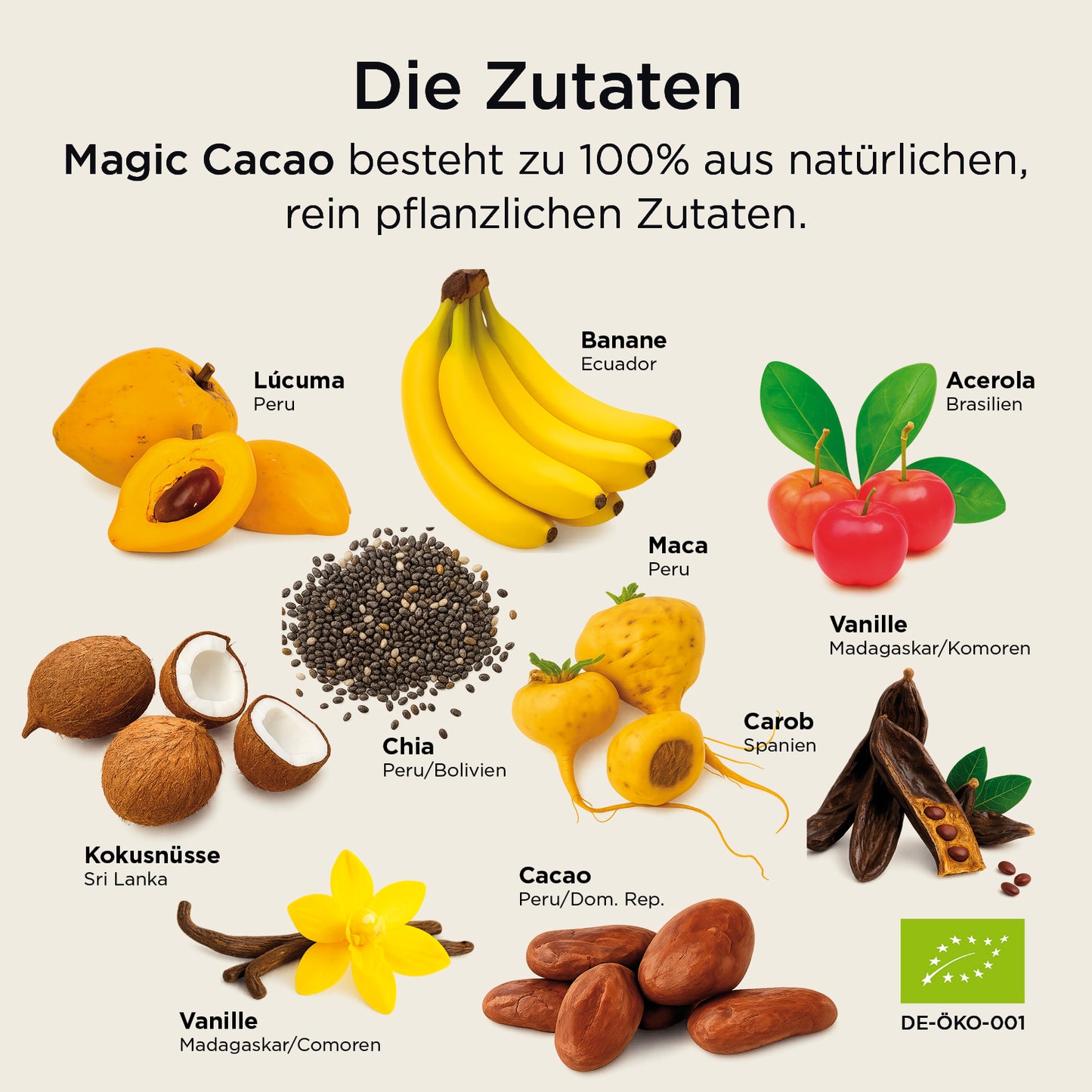 Magic Cacao Kokosnuss