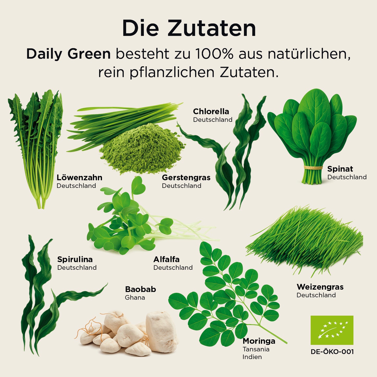 Daily Green