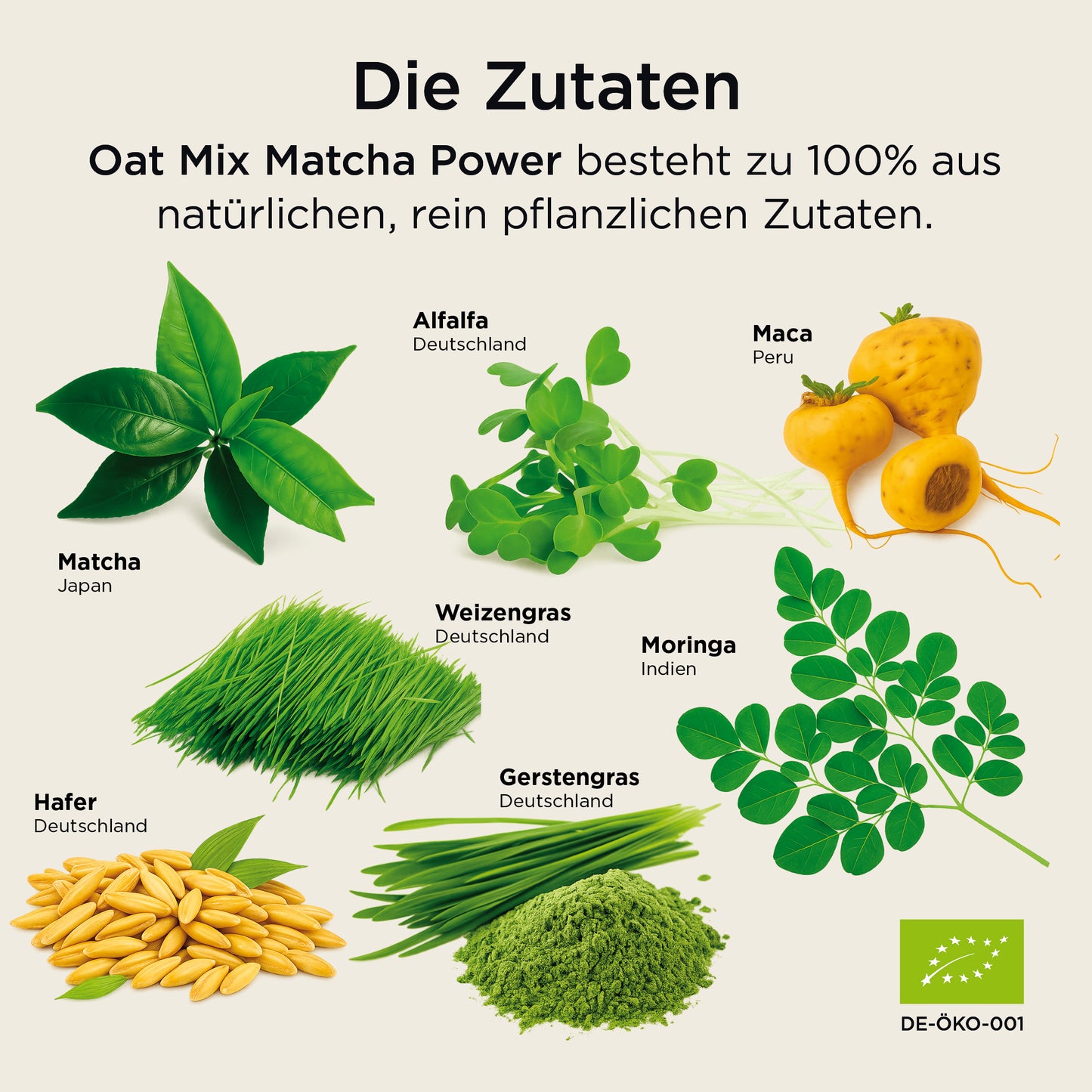 Oat Mix Matcha Power
