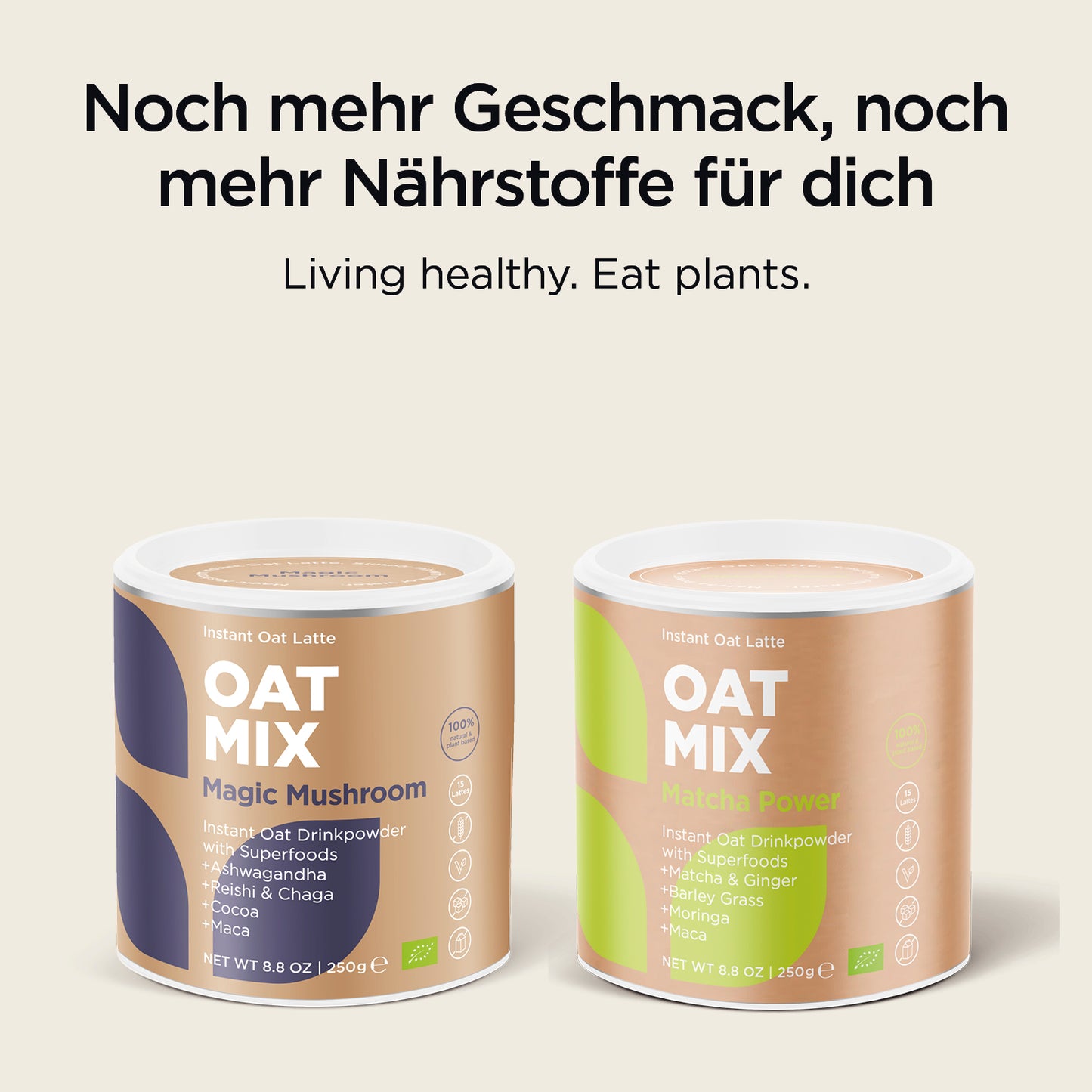Oat Mix Magic Mushroom