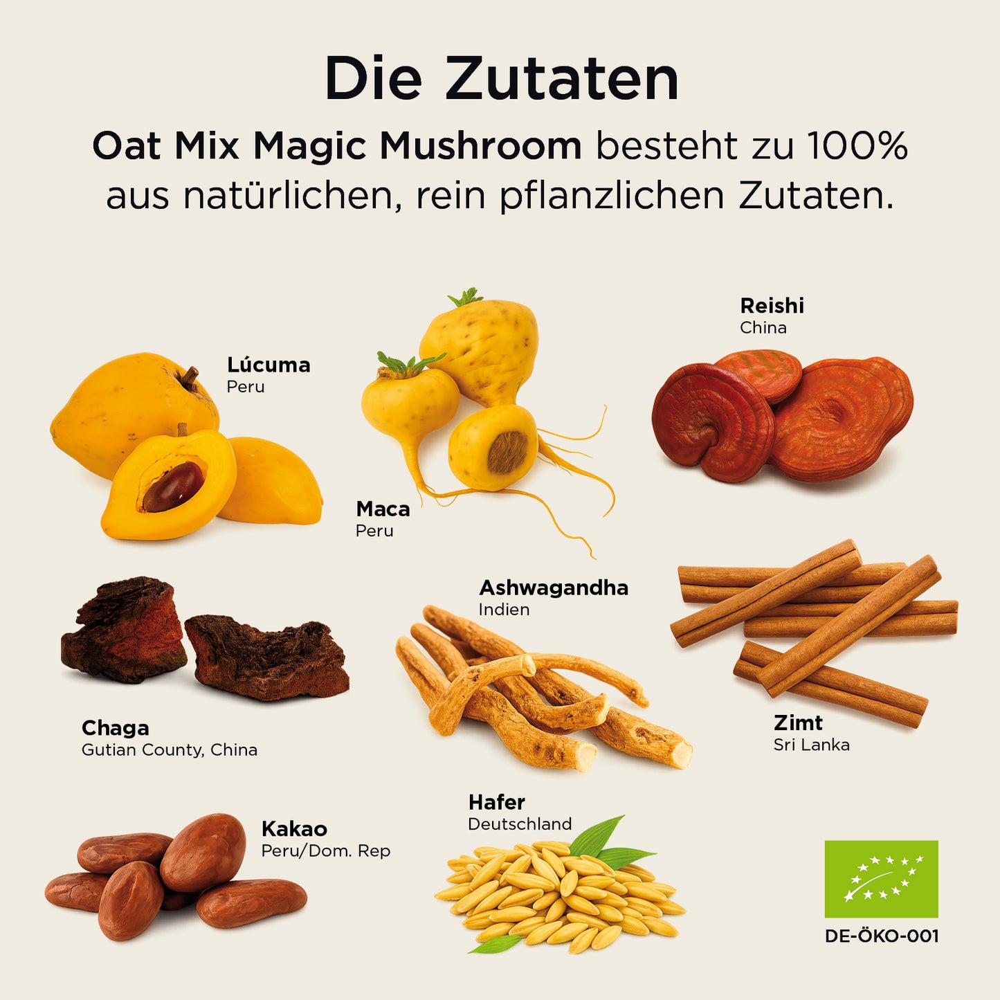 Oat Mix Magic Mushroom